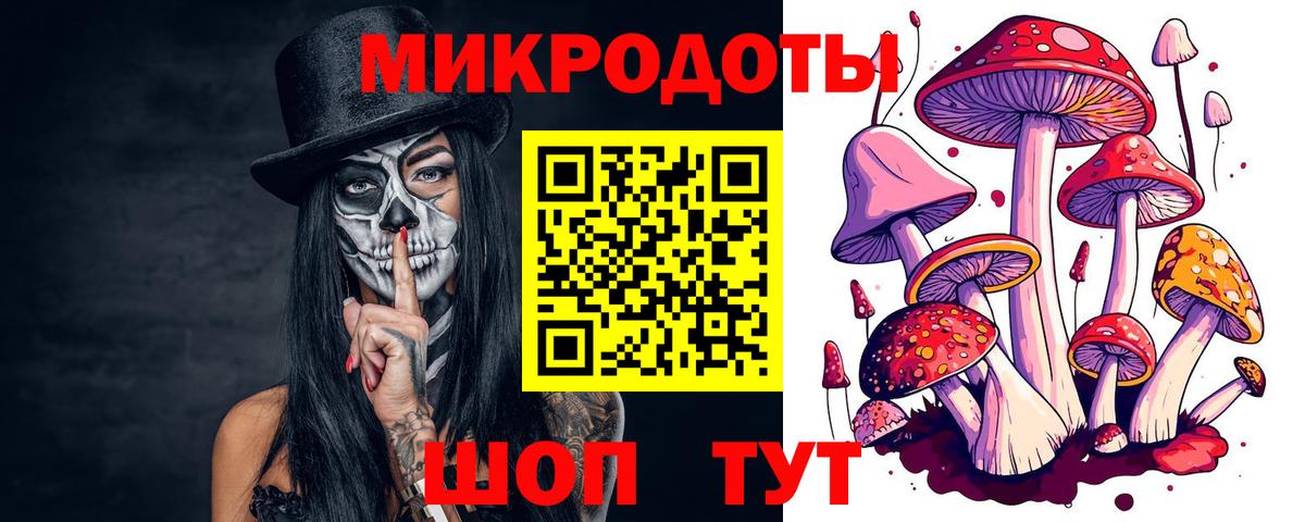 Псилоцибиновые грибы Magic Shrooms  Псилоцибиновые грибы GOLDEN TEACHER  Вязники  Вход с VPN 