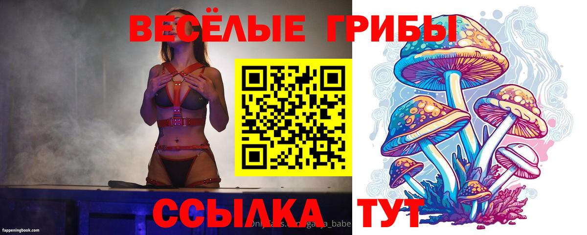 Галлюциногенные грибы мицелий Вязники